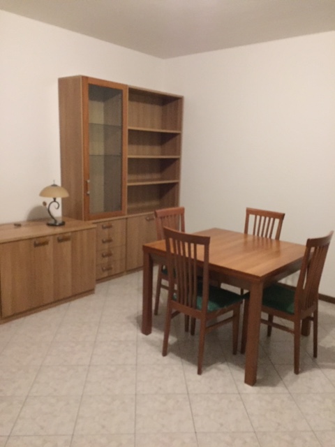 OTTIMO BILOCALE ARREDATO CON TERRAZZO